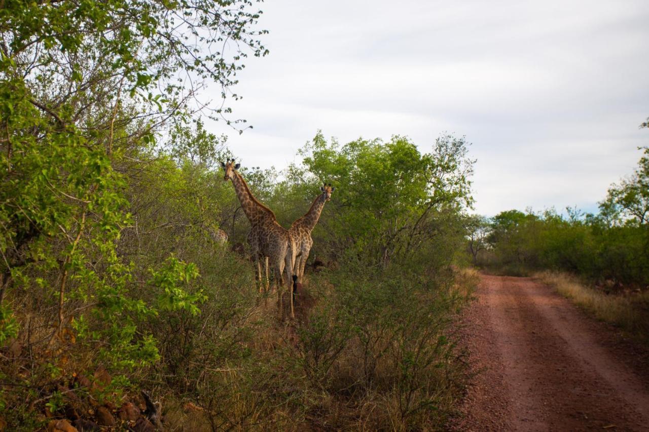 Nungu Game Lodge Lephalale Exterior photo